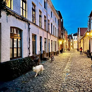 Heaven At 11, Your Deluxe With Personal Bathroom, Kitchenette & Terrace Belgien